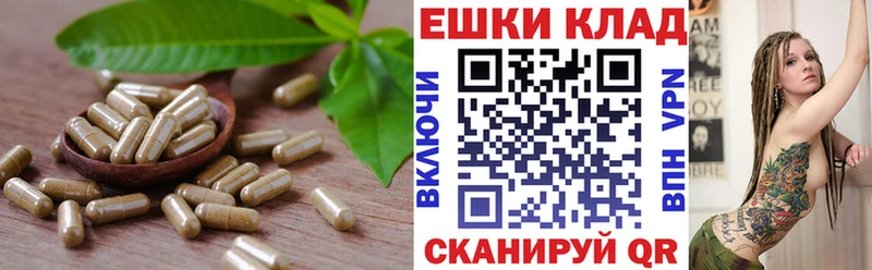 ОМГ ОМГ ссылки купить цена Ртищево Экстази mix