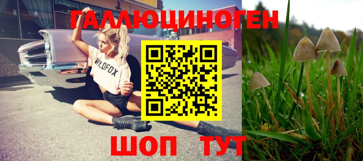 Галлюциногенные грибы Magic Shrooms  Вход с VPN  Ртищево 